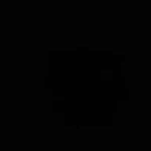 Meet your Posher, Hanna